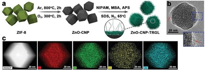 四川大學程沖、趙長生團隊開發尺寸可變碳納米材料用于化學聯合光熱抗菌合成材料